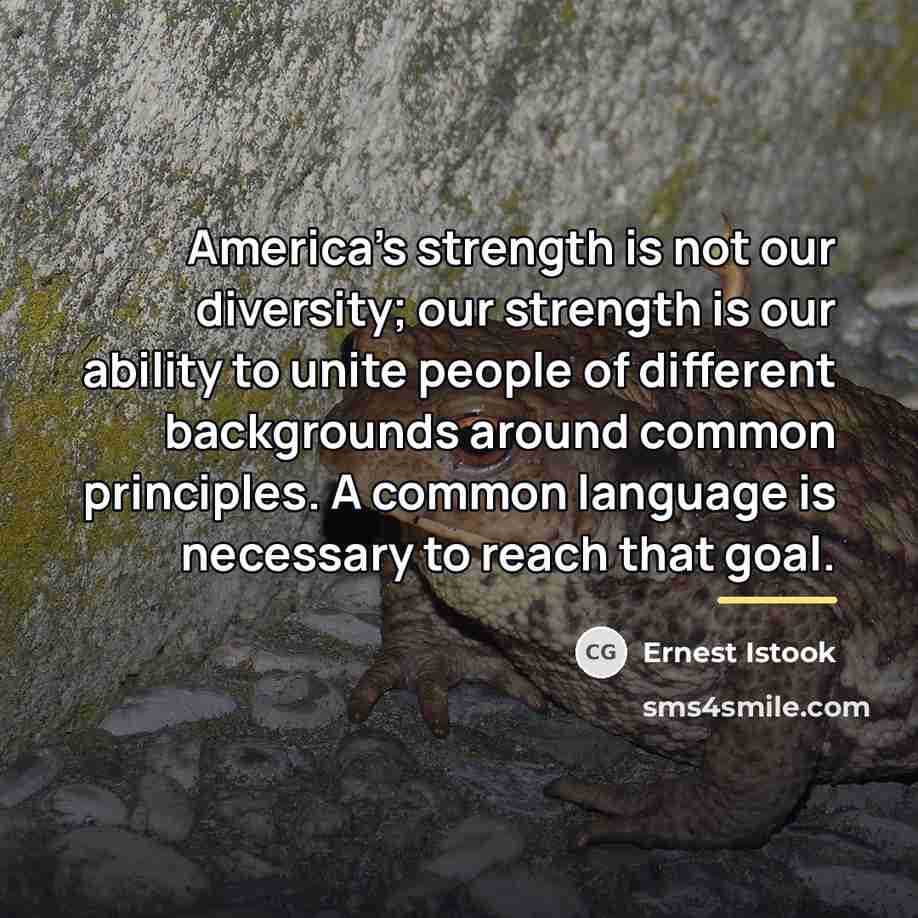 “America's strength is not our diversity; our strength is our…” quote by Ernest Istook