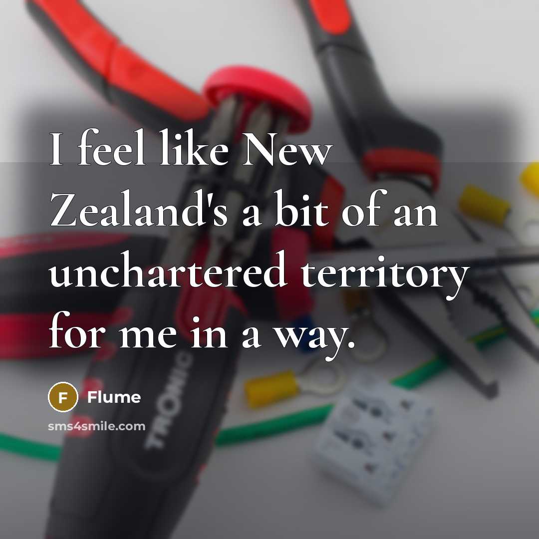 “I feel like New Zealand's a bit of an unchartered territory for me in a way.” quote by Flume