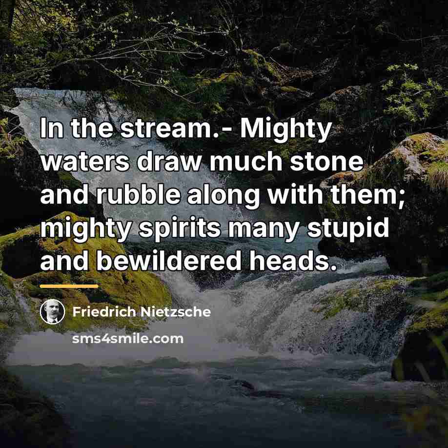 “In the stream.- Mighty waters draw much stone and rubble…” quote by Friedrich Nietzsche