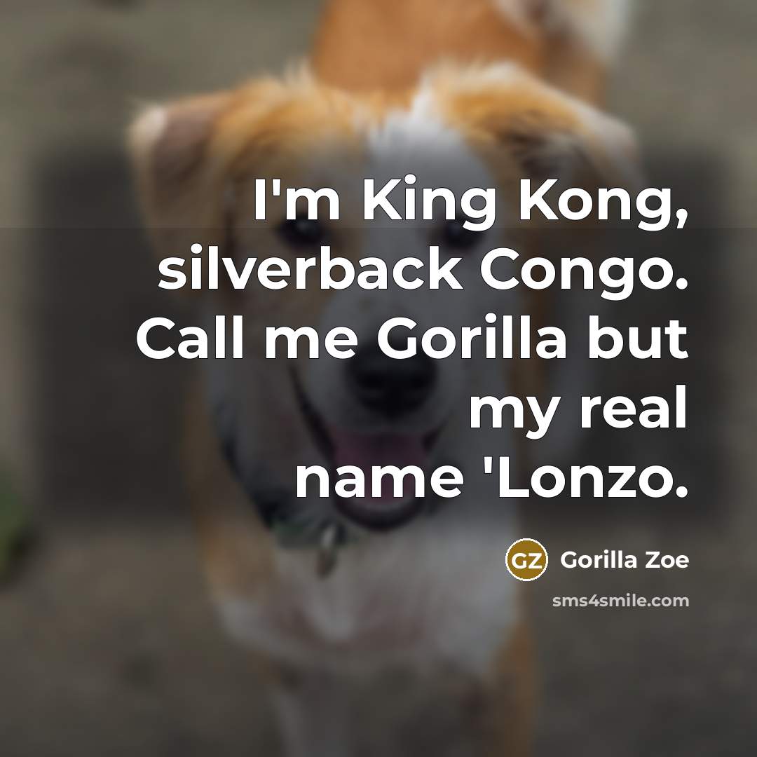 “I'm King Kong, silverback Congo. Call me Gorilla but my…” quote by Gorilla Zoe
