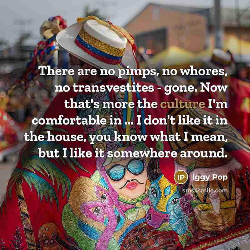 “There are no pimps, no whores, no transvestites - gone.…” quote by Iggy Pop