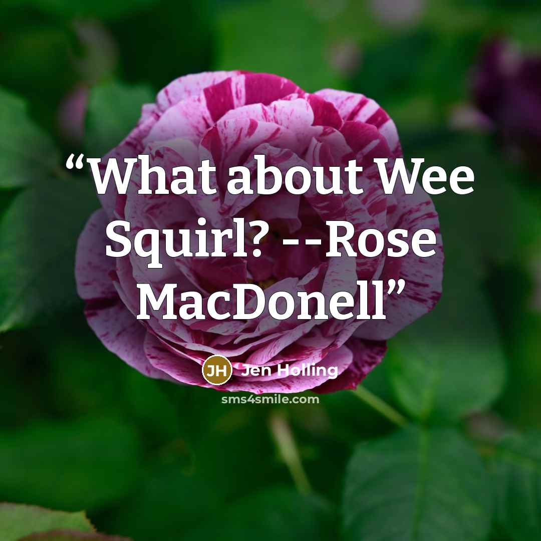 “What about Wee Squirl? --Rose MacDonell” quote by Jen Holling