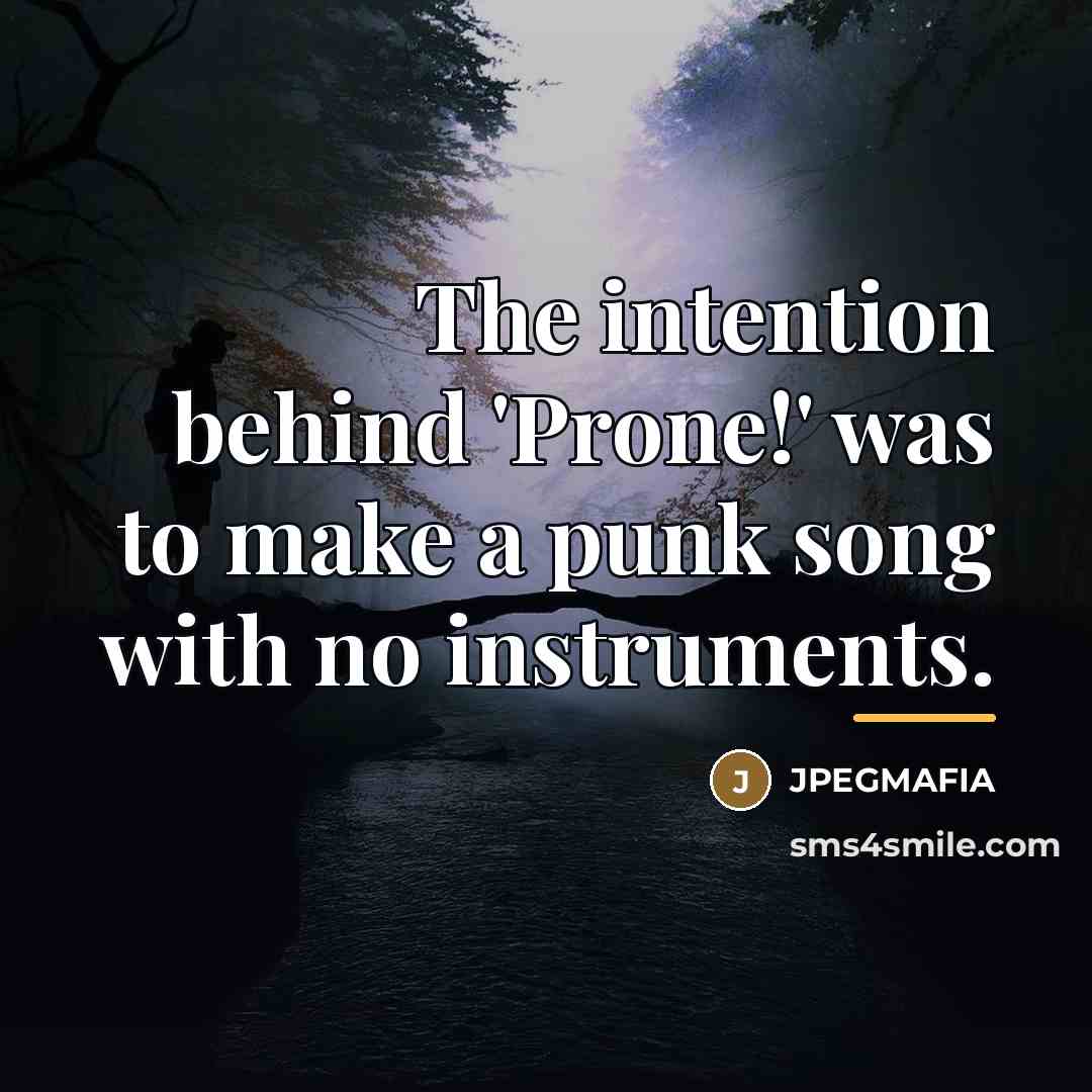 “The intention behind 'Prone!' was to make a punk song…” quote by JPEGMAFIA