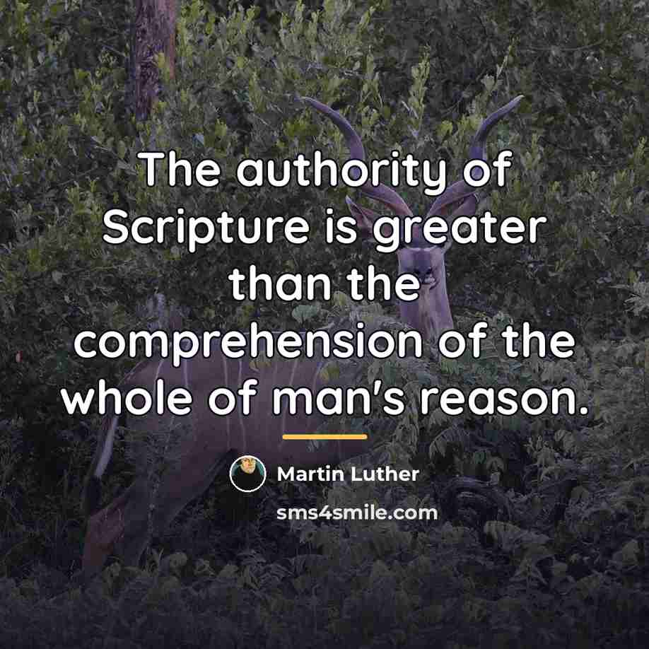 “The authority of Scripture is greater than the comprehension of…” quote by Martin Luther