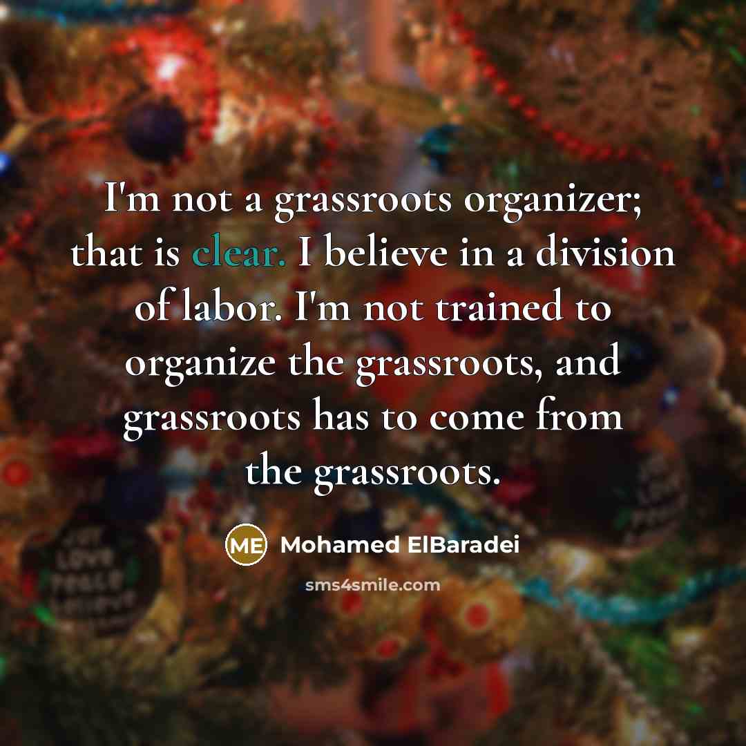 “I'm not a grassroots organizer; that is clear. I believe…” quote by Mohamed ElBaradei