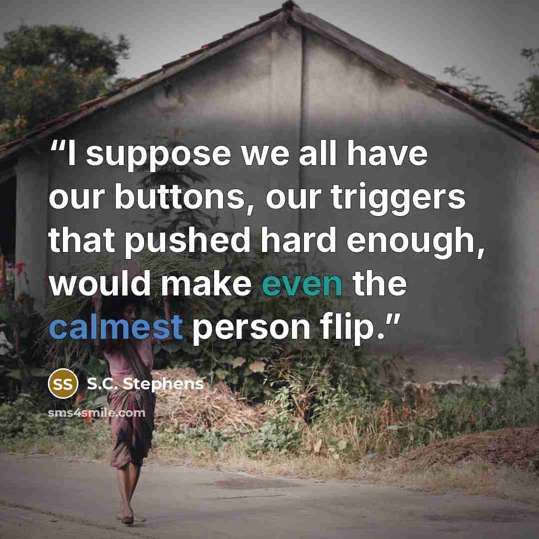“I suppose we all have our buttons, our triggers that pushed hard enough, would make even the calmest person flip.” quote by S.C. Stephens