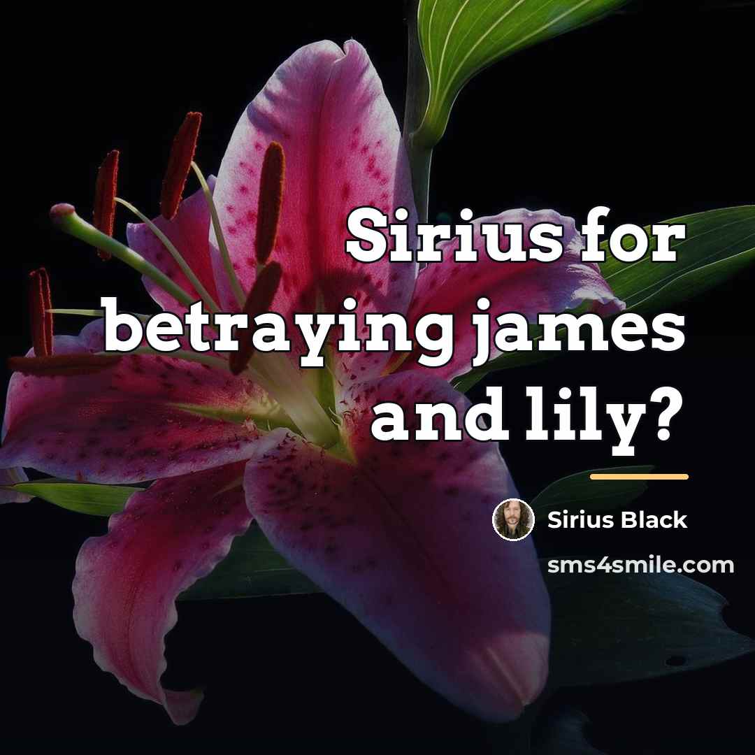 “Sirius for betraying james and lily?…” quote by Sirius Black