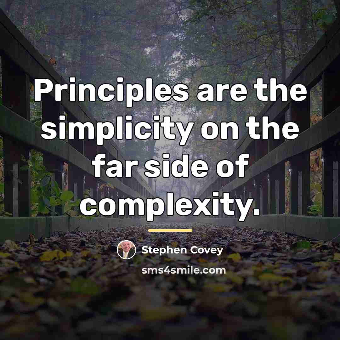 “Principles are the simplicity on the far side of complexity.…” quote by Stephen Covey