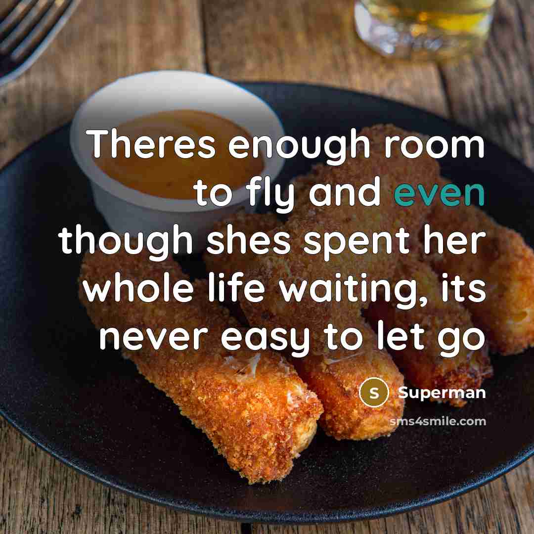 “Theres enough room to fly and even though shes spent…” quote by Superman
