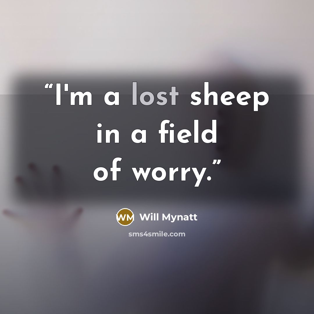 “I'm a lost sheep in a field of worry.” quote by Will Mynatt