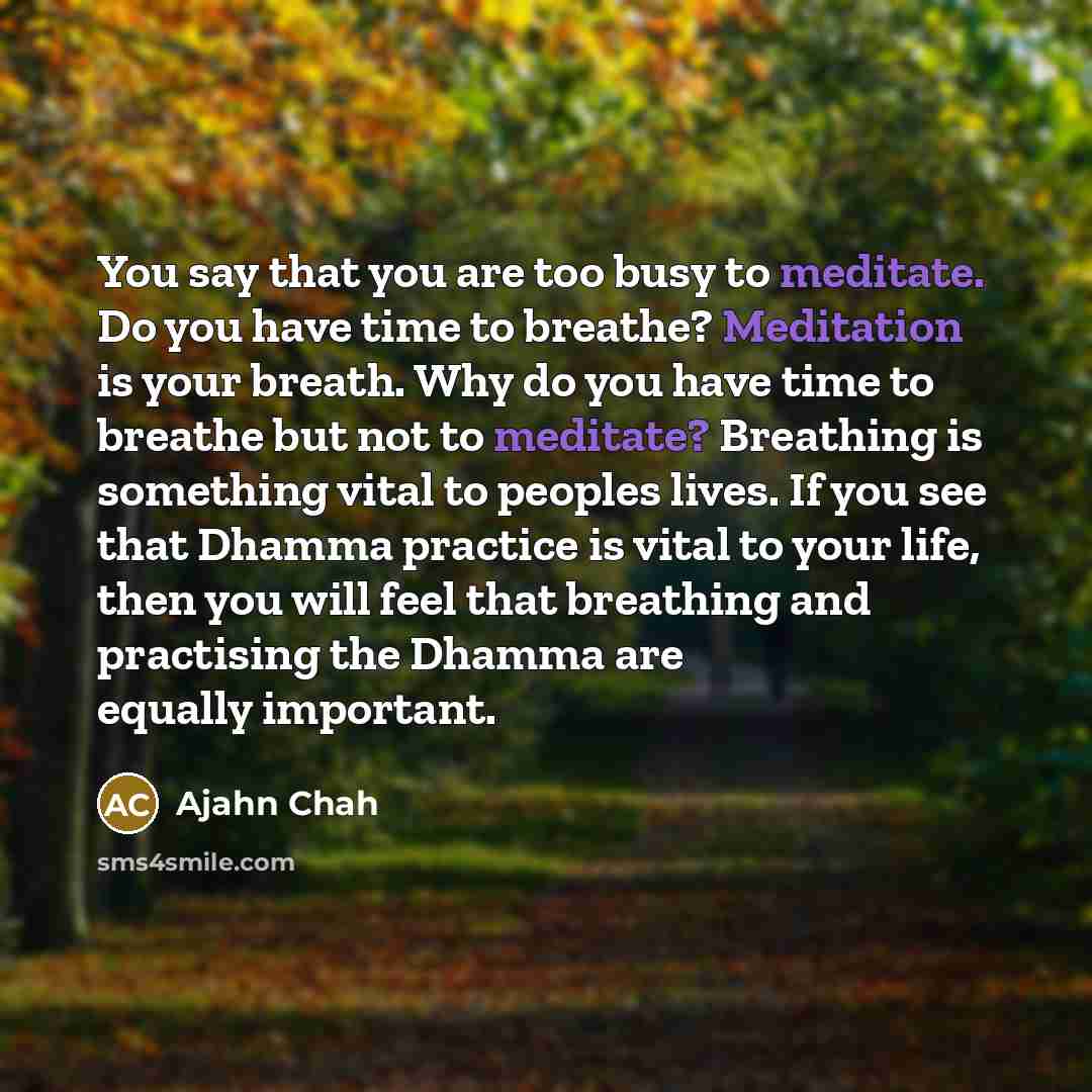 “You say that you are too busy to meditate. Do…” quote by Ajahn Chah