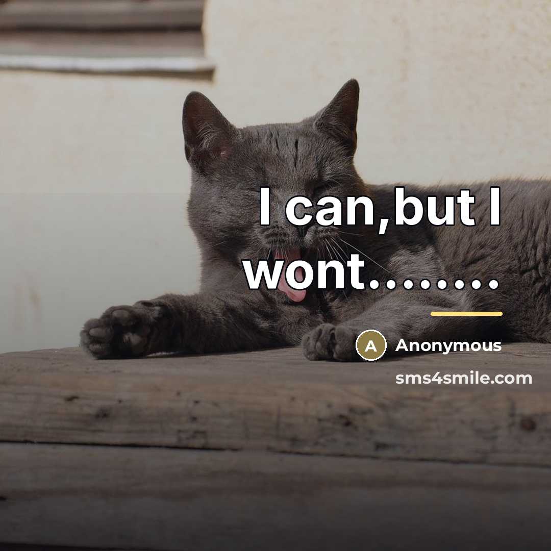 “I can,but I wont........…” quote by Anonymous