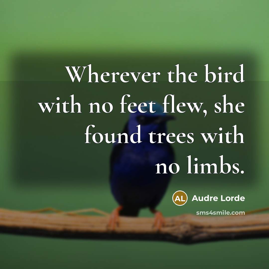 “Wherever the bird with no feet flew, she found trees…” quote by Audre Lorde