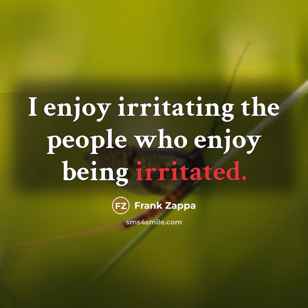 “I enjoy irritating the people who enjoy being irritated.…” quote by Frank Zappa