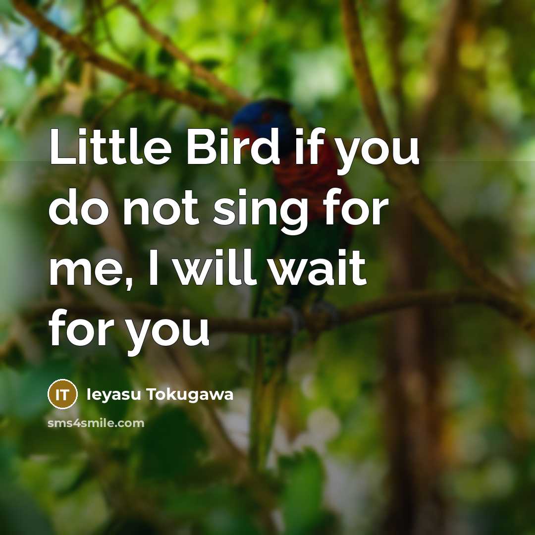 “Little Bird if you do not sing for me, I…” quote by Ieyasu Tokugawa