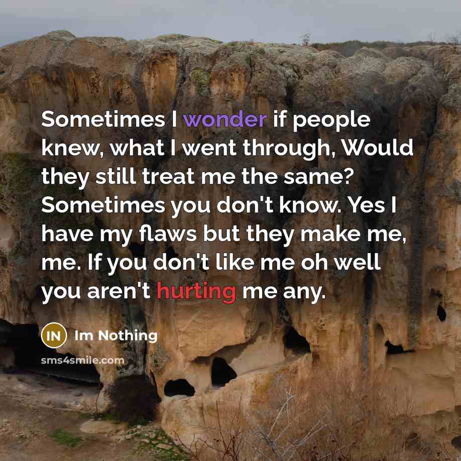“Sometimes I wonder if people knew, what I went through, Would they still treat me the same? Sometimes you don't know. Yes I have my flaws but they make me, me. If you don't like me oh well you aren't hurting me any.” quote by Im Nothing