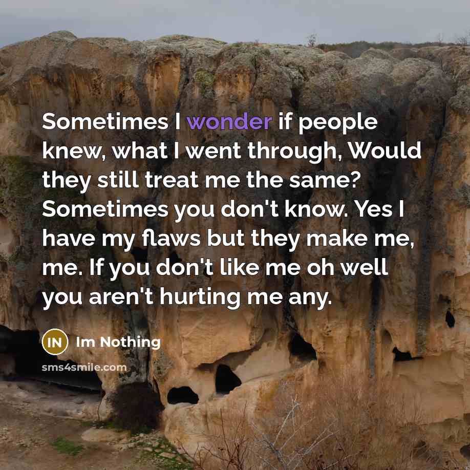 “Sometimes I wonder if people knew, what I went through,…” quote by Im Nothing