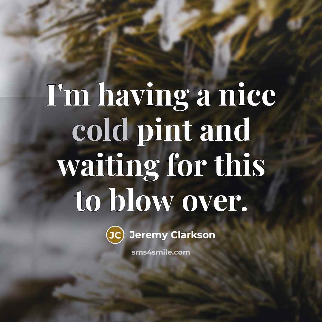 “I'm having a nice cold pint and waiting for this…” quote by Jeremy Clarkson