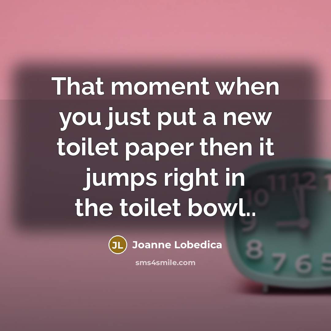 “That moment when you just put a new toilet paper…” quote by Joanne Lobedica