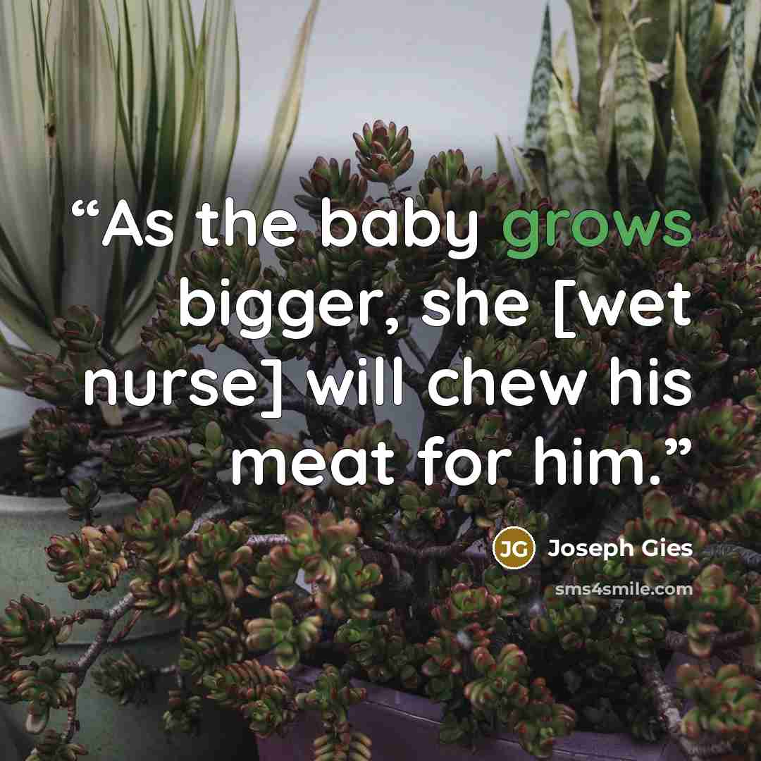 “As the baby grows bigger, she [wet nurse] will chew his meat for him.” quote by Joseph Gies
