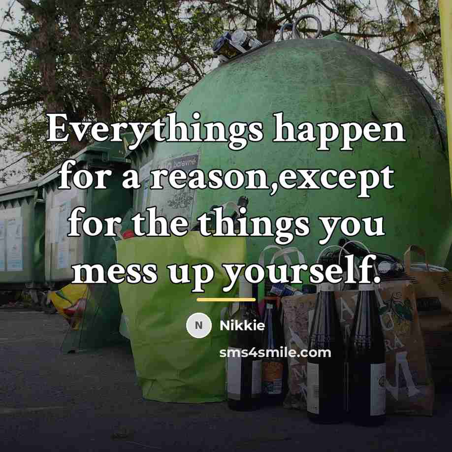 “Everythings happen for a reason,except for the things you mess…” quote by Nikkie