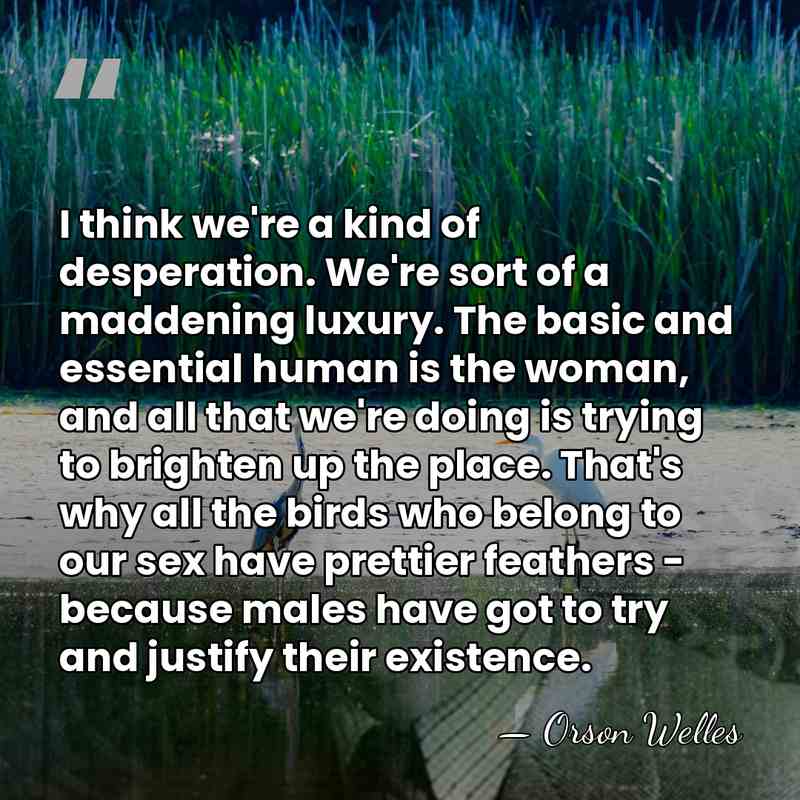 I think we're a kind of desperation. We're sort of a maddening&hellip; - Orson Welles