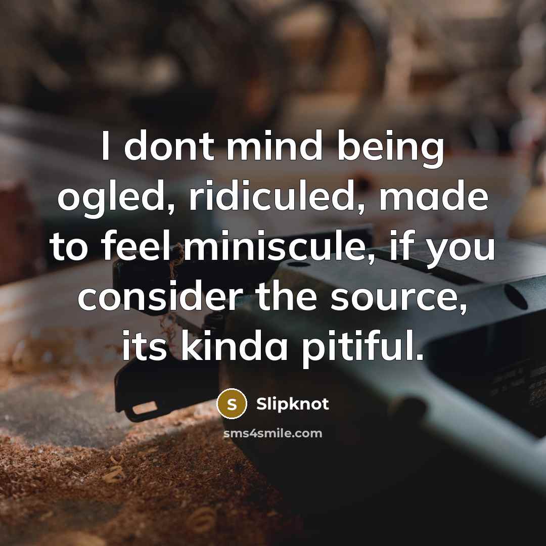 “I dont mind being ogled, ridiculed, made to feel miniscule,…” quote by Slipknot