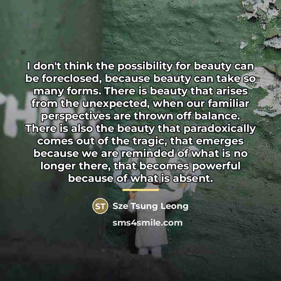 “I don't think the possibility for beauty can be foreclosed,…” quote by Sze Tsung Leong