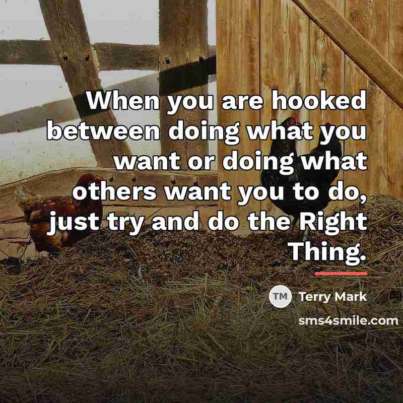 “When you are hooked between doing what you want or…” quote by Terry Mark