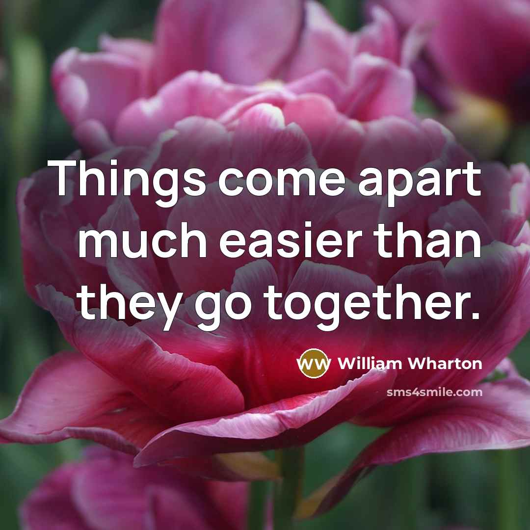 “Things come apart much easier than they go together.” quote by William Wharton
