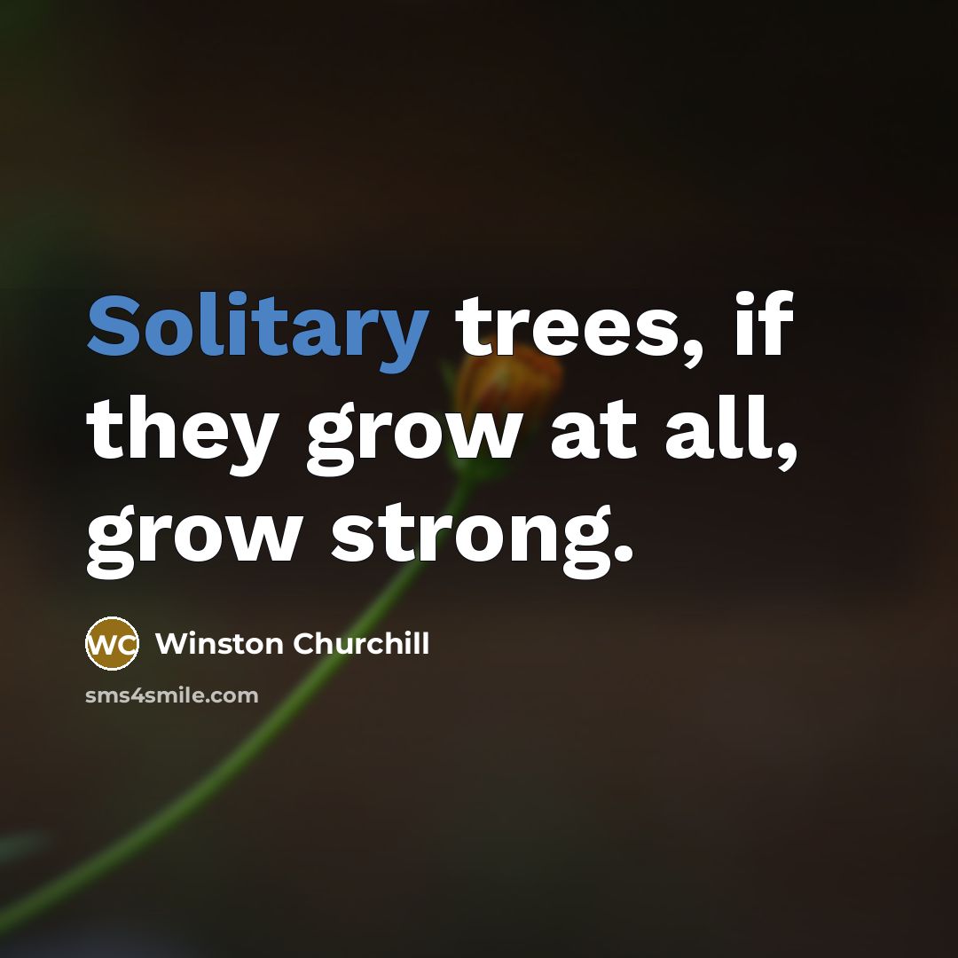 “Solitary trees, if they grow at all, grow strong.…” quote by Winston Churchill