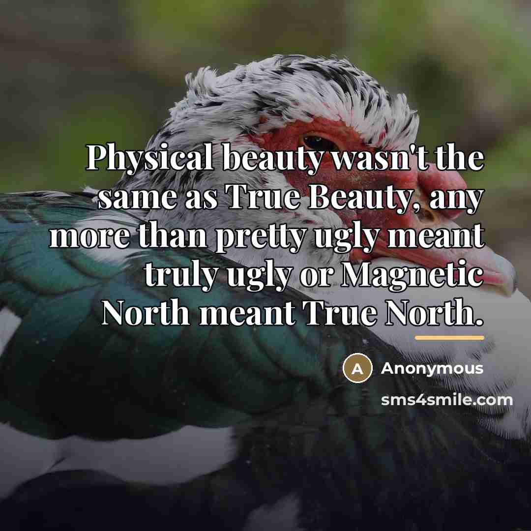 “Physical beauty wasn't the same as True Beauty, any more…” quote by Anonymous