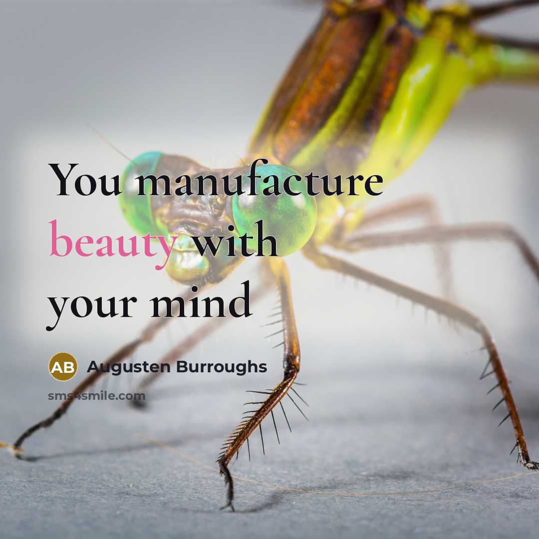 “You manufacture beauty with your mind…” quote by Augusten Burroughs