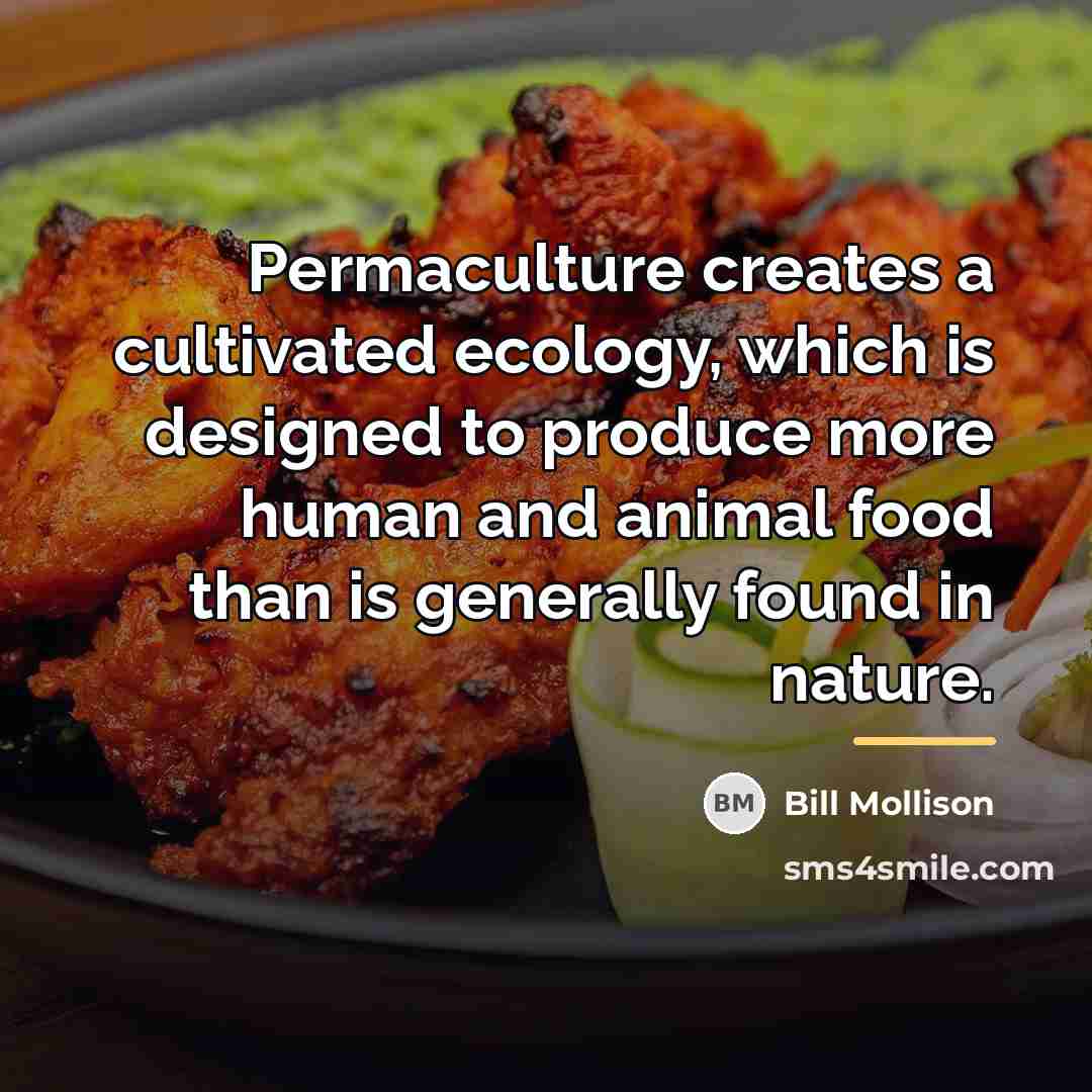 “Permaculture creates a cultivated ecology, which is designed to produce…” quote by Bill Mollison
