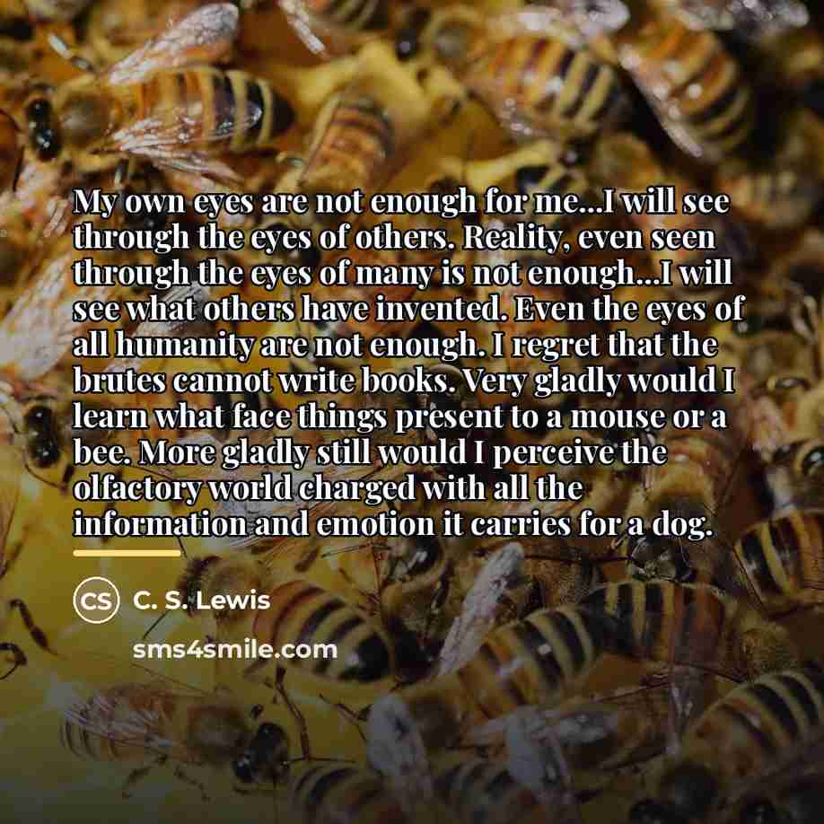 “My own eyes are not enough for me...I will see…” quote by C. S. Lewis