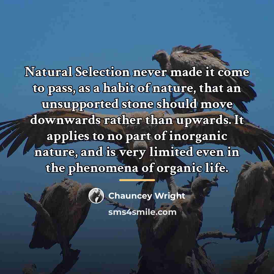 “Natural Selection never made it come to pass, as a…” quote by Chauncey Wright