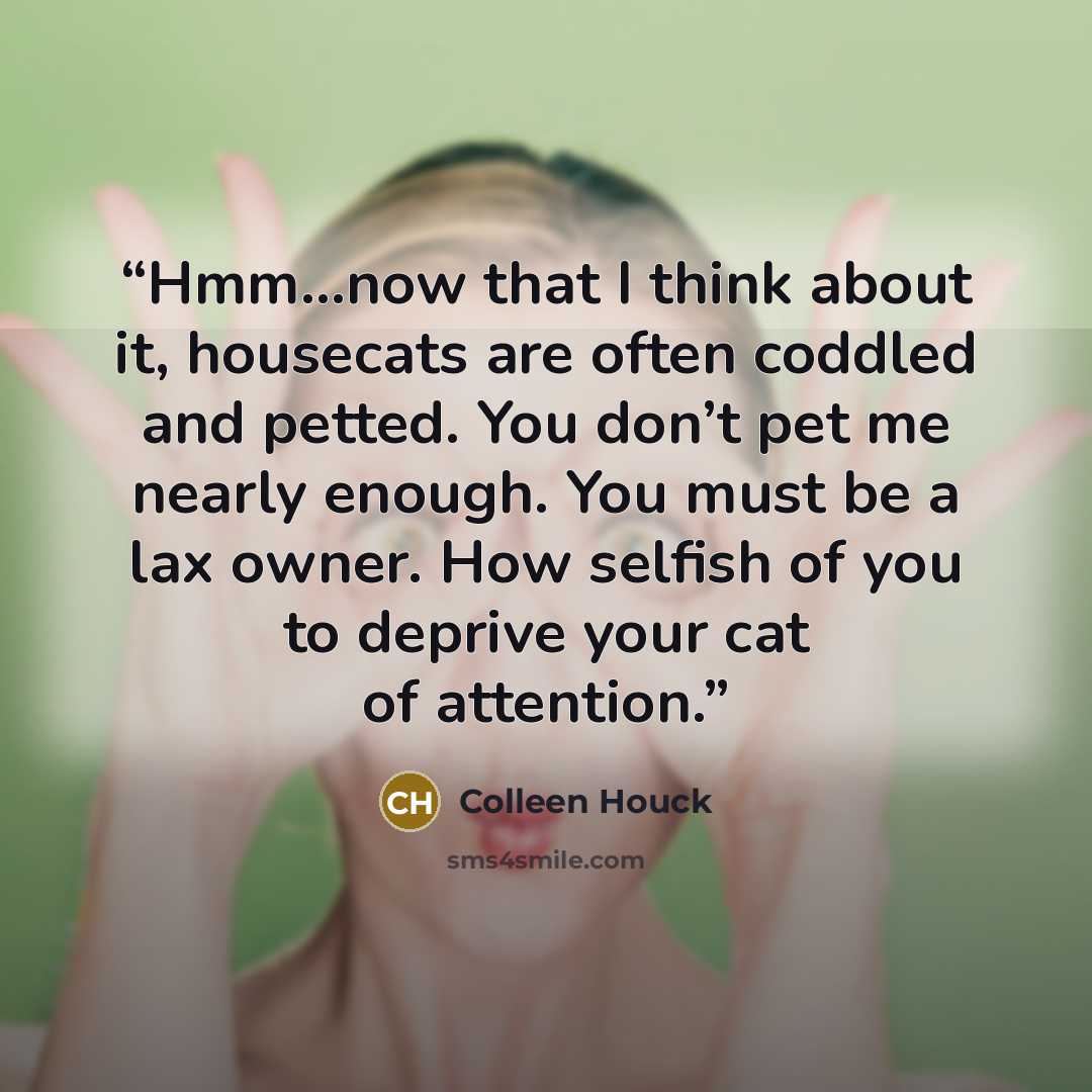 “Hmm…now that I think about it, housecats are often coddled and petted. You don’t pet me nearly enough. You must be a lax owner. How selfish of you to deprive your cat of attention.” quote by Colleen Houck