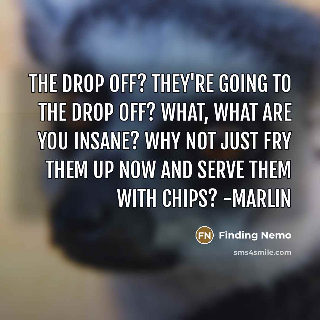 “The drop off? They're going to the drop off? What,…” quote by Finding Nemo