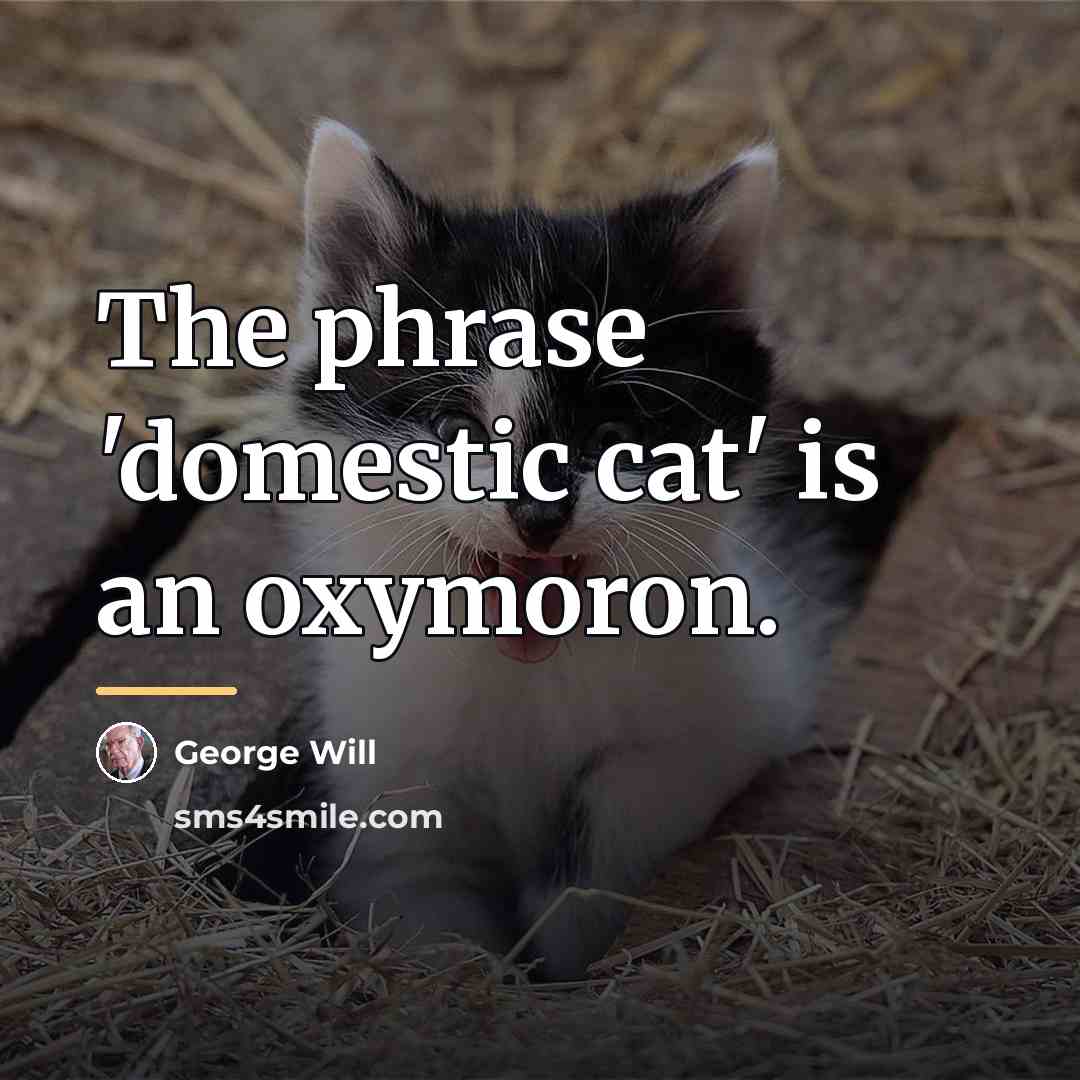 “The phrase 'domestic cat' is an oxymoron.…” quote by George Will