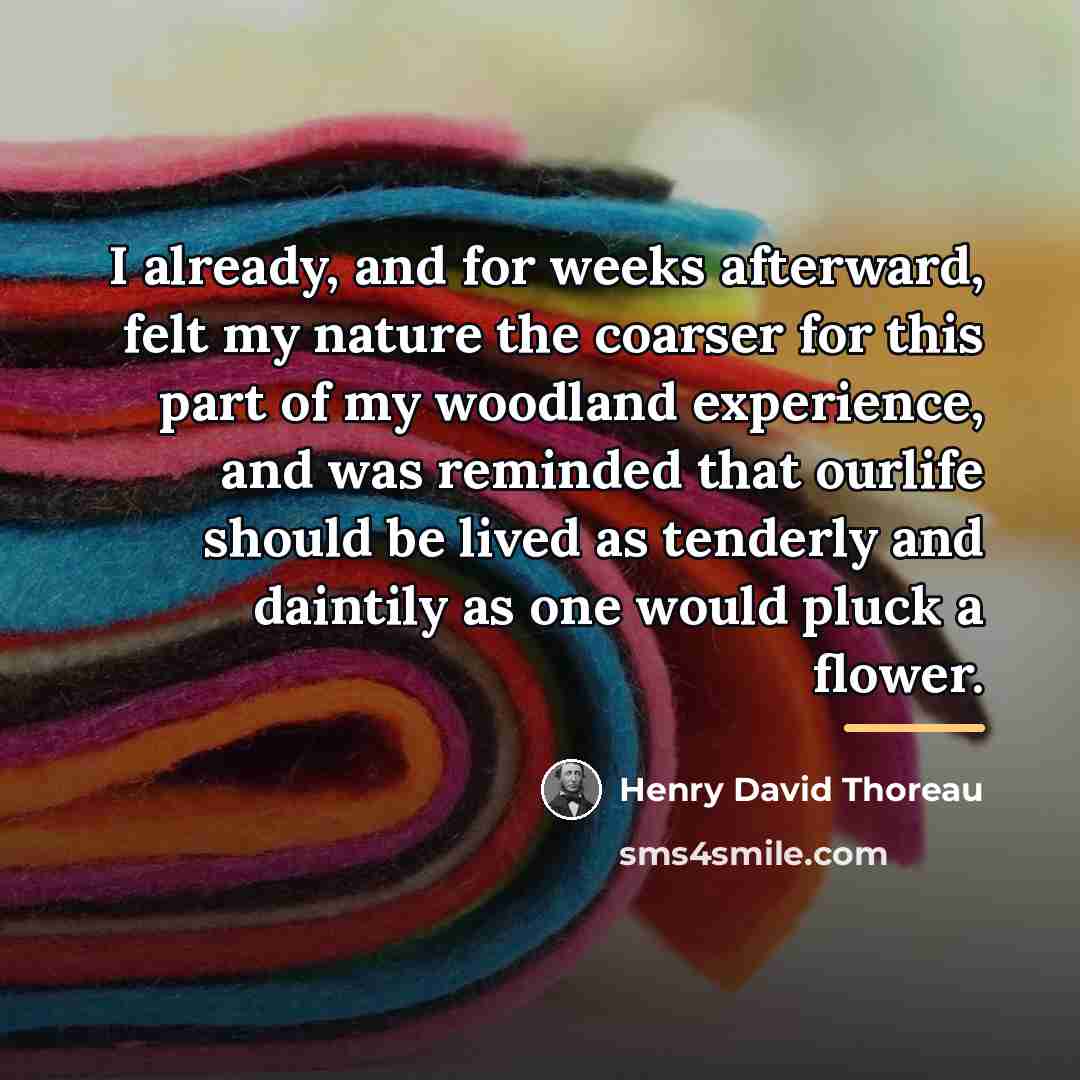 “I already, and for weeks afterward, felt my nature the…” quote by Henry David Thoreau