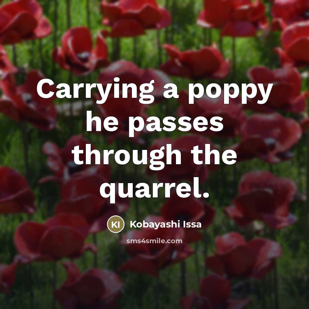 “Carrying a poppy he passes through the quarrel.…” quote by Kobayashi Issa