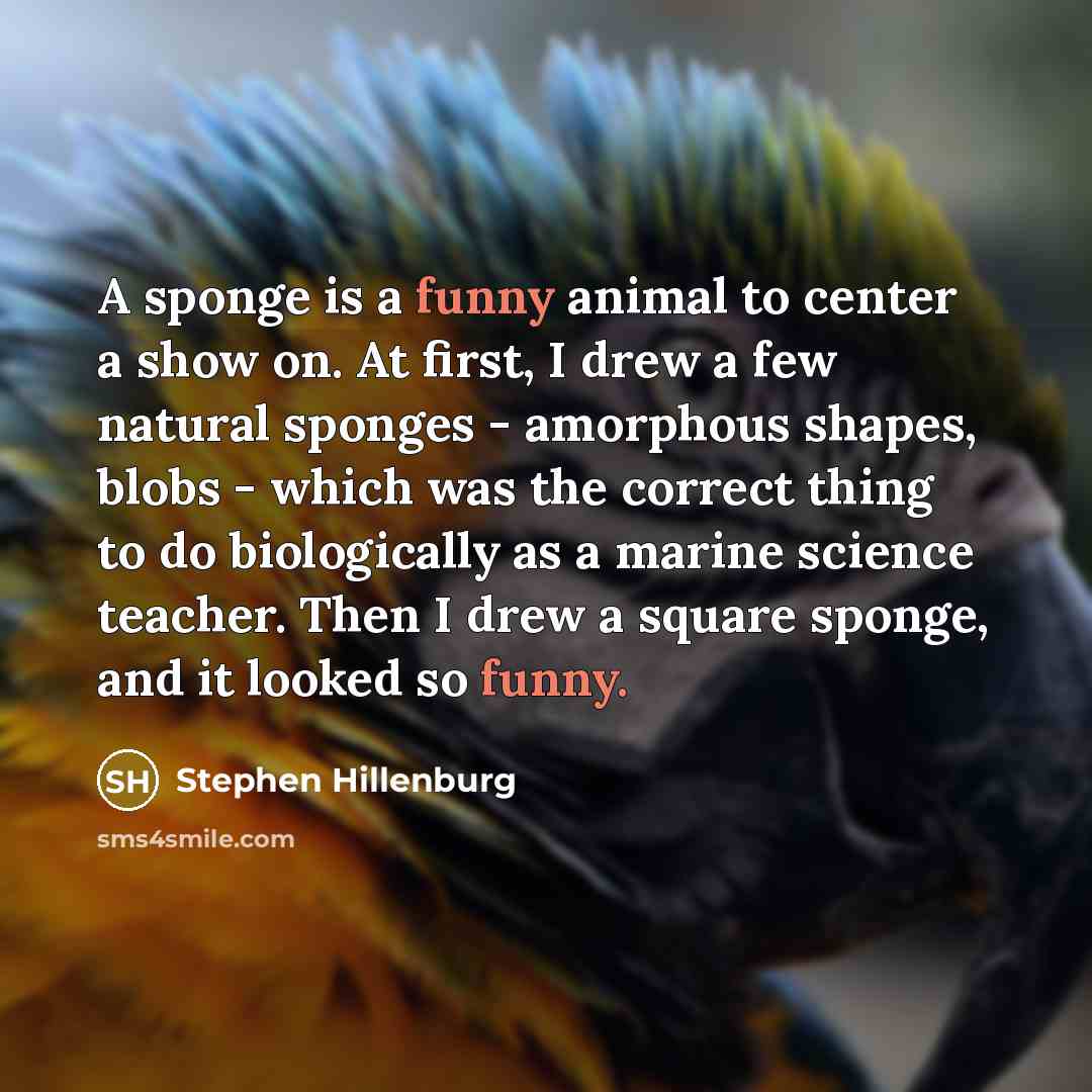 “A sponge is a funny animal to center a show…” quote by Stephen Hillenburg