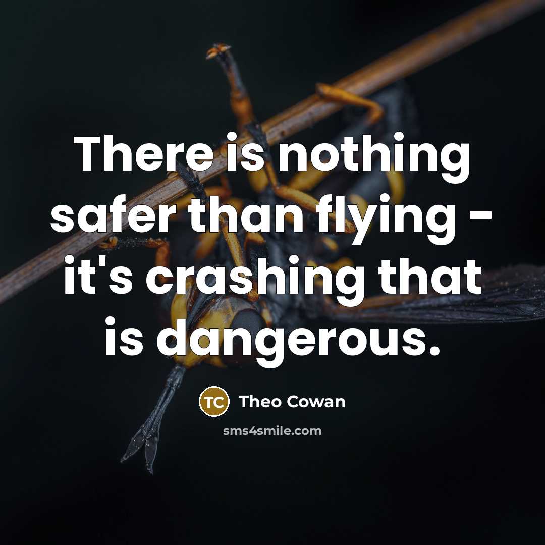 “There is nothing safer than flying - it's crashing that is dangerous.” quote by Theo Cowan
