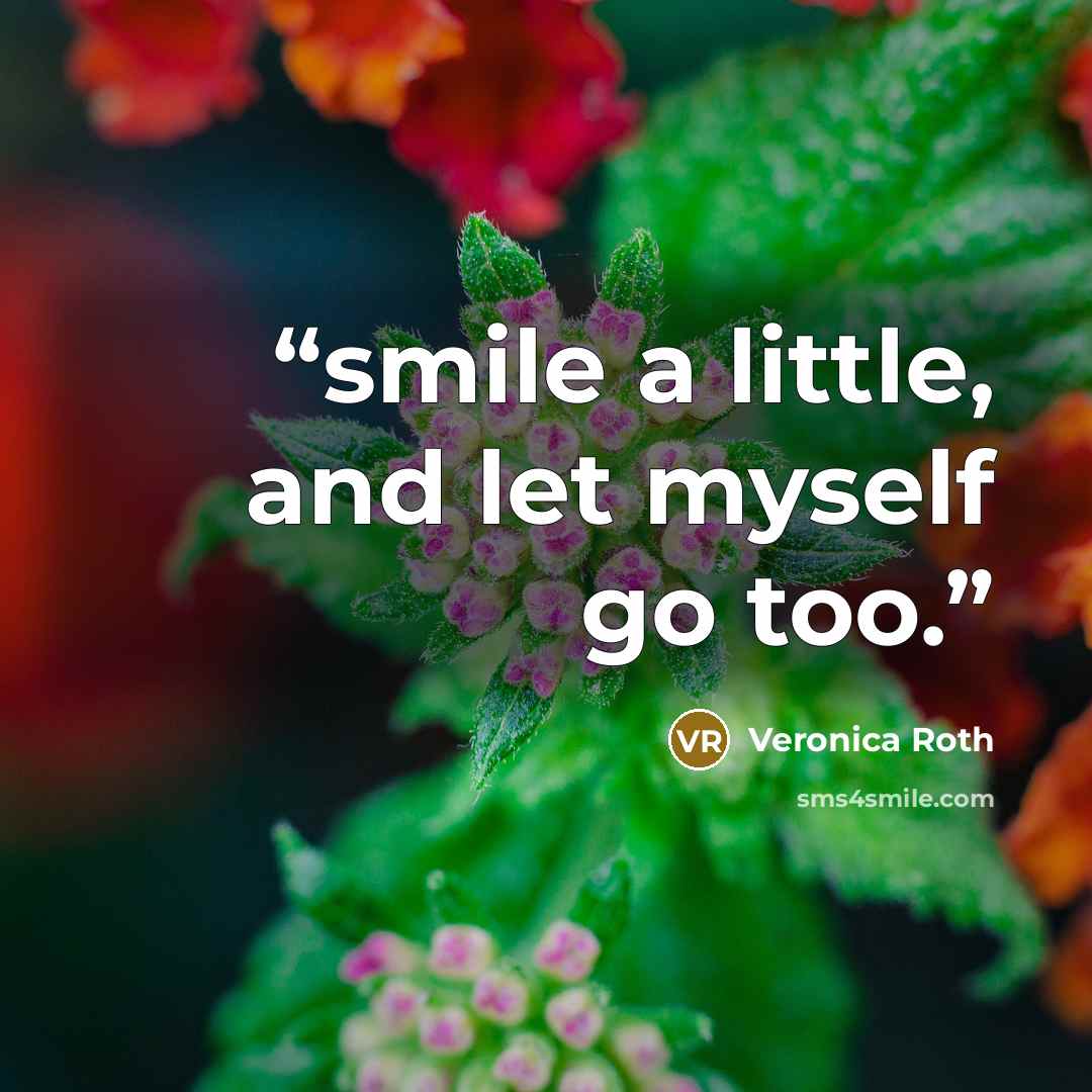 “smile a little, and let myself go too.” quote by Veronica Roth