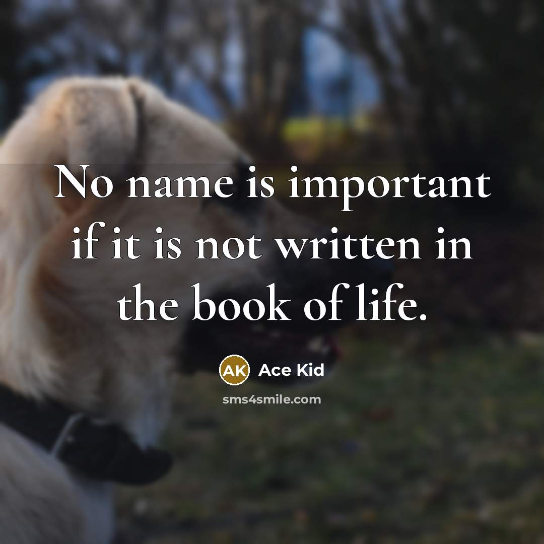 “No name is important if it is not written in…” quote by Ace Kid