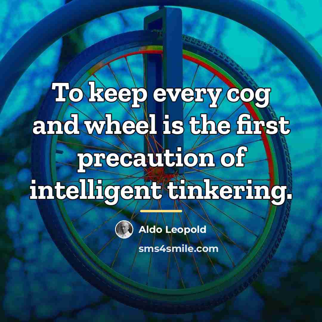 “To keep every cog and wheel is the first precaution…” quote by Aldo Leopold