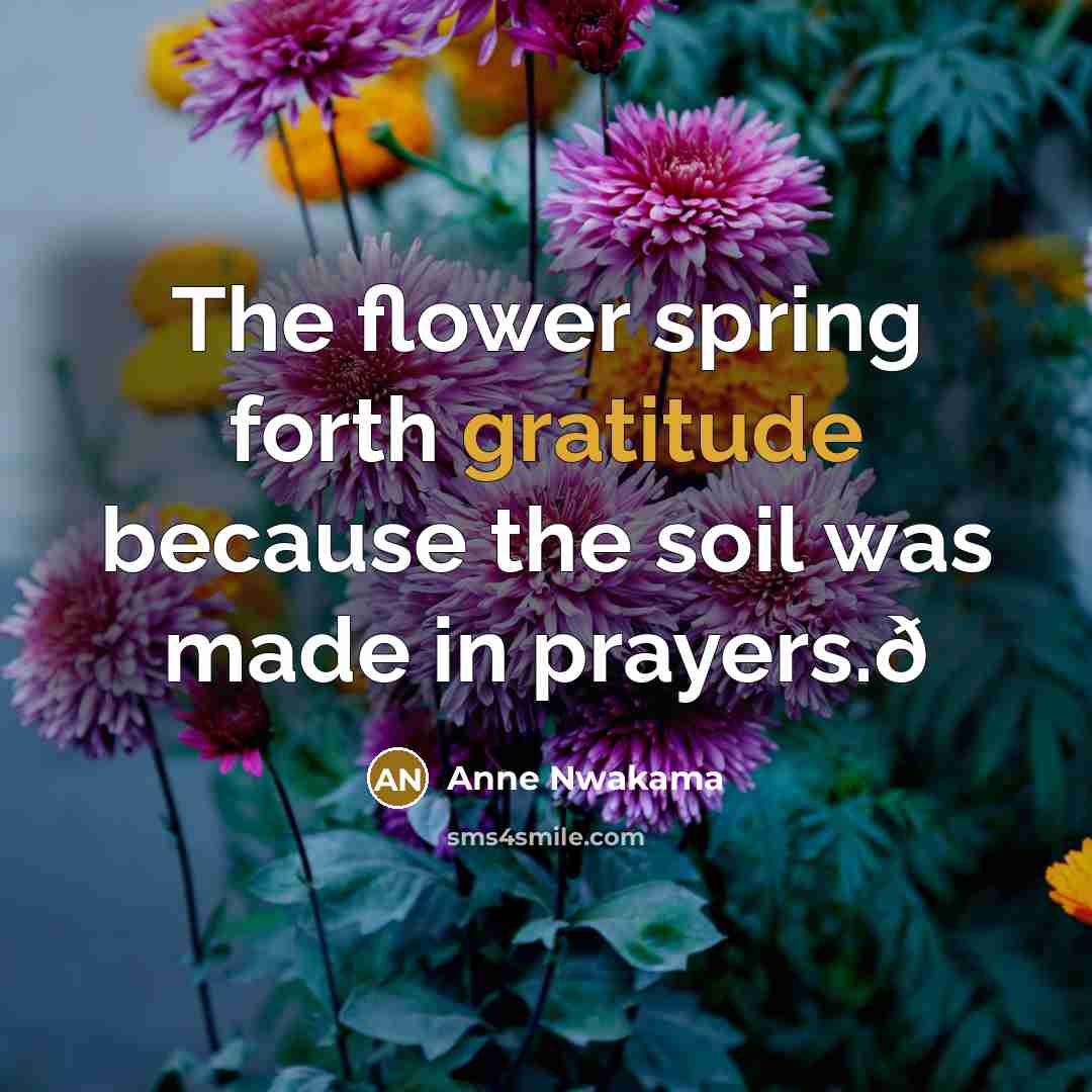“The flower spring forth gratitude because the soil was made…” quote by Anne Nwakama
