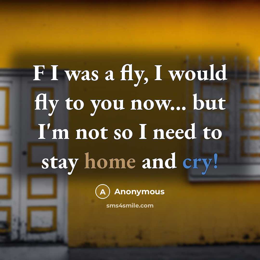 “F I was a fly, I would fly to you…” quote by Anonymous