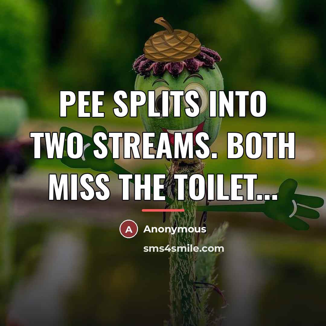 “Pee splits into two streams. Both miss the toilet...…” quote by Anonymous