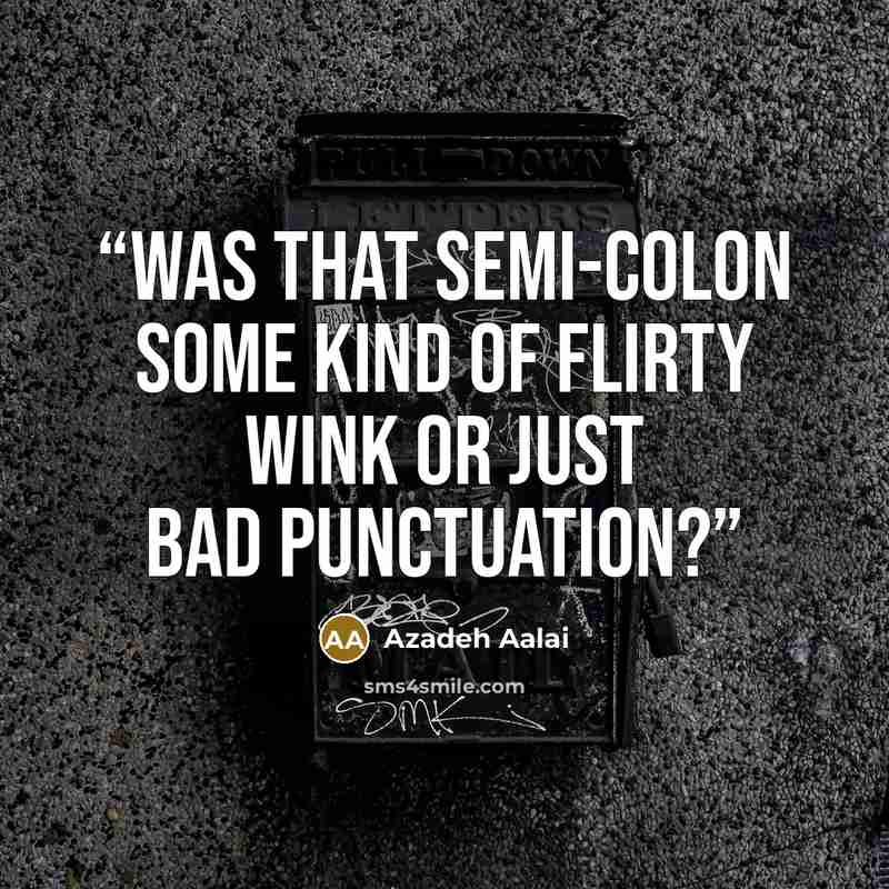 “Was that semi-colon some kind of flirty wink or just bad punctuation?” quote by Azadeh Aalai